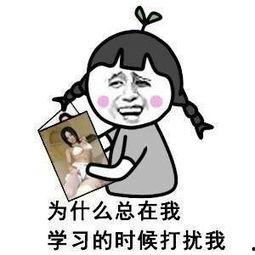 超污表情包,超污表情包大盘点