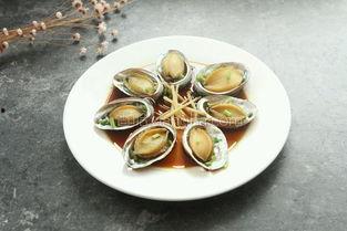 明星鲍鱼图片大全,明星鲍鱼图片大全赏析