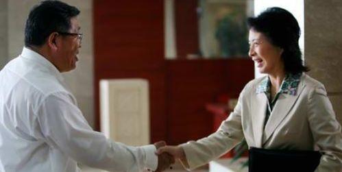 市委书记日记演员表,揭秘幕后演员阵容,实力派齐聚演绎时代风云