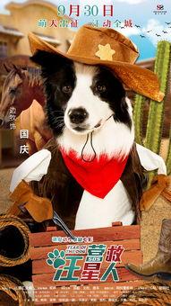 营救汪星人主要演员,众星云集共筑感人救援之旅