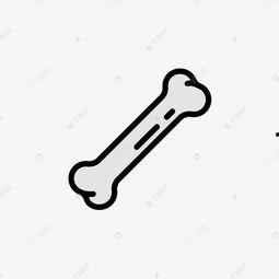 骨头的照片,从照片中解读人体骨骼结构