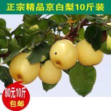 白梨图片,晶莹剔透的自然画卷