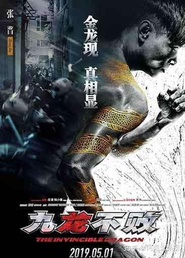 九龙不败花絮,幕后花絮揭秘，幕后英雄的奋斗之路